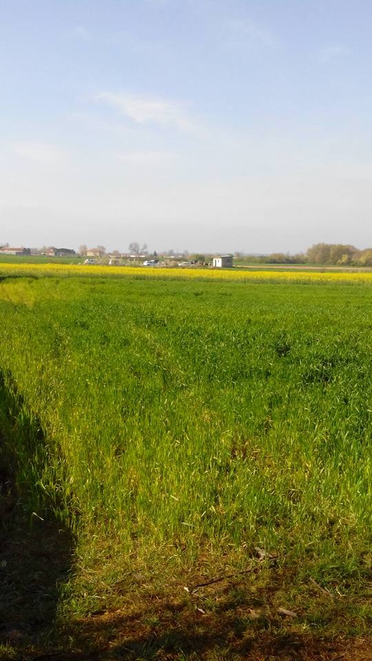 Uzunköprü Salarlı Köyü Resimleri 1