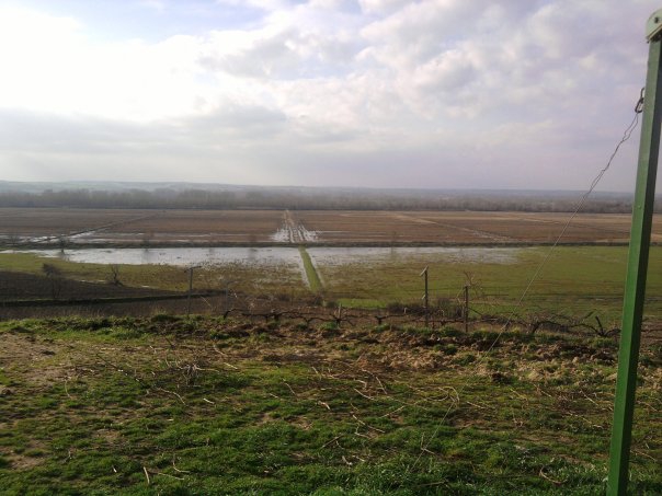 Uzunköprü Sığırcılı Köyü Resimleri 8