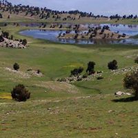 Silvan Çiğdemli Köyü Resimleri 3