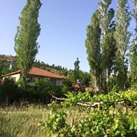 Silvan Çiğdemli Köyü Resimleri 4