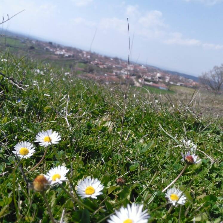 Uzunköprü Süleymaniye Köyü Resimleri 7
