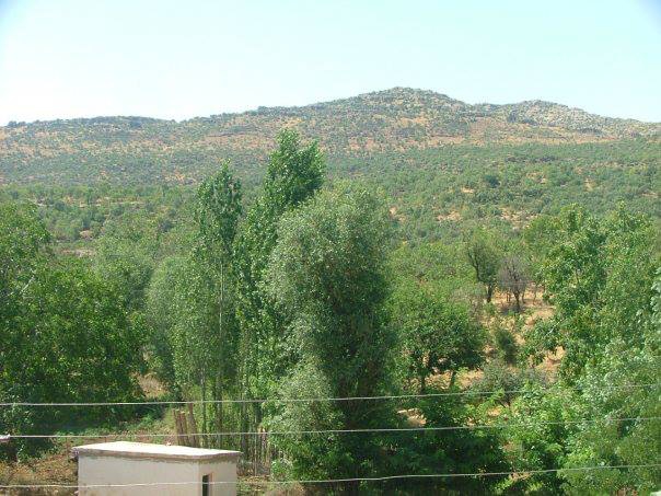 Silvan Kayadere Köyü Resimleri 4