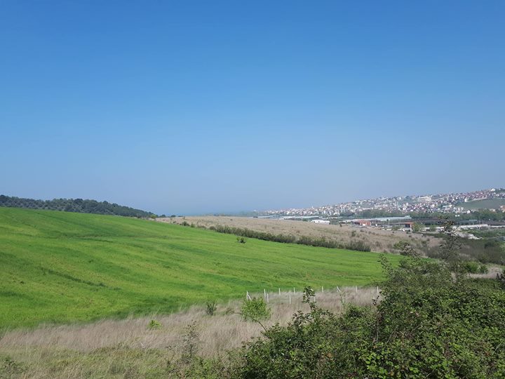 Yalova Samanlı Köyü Resimleri 1