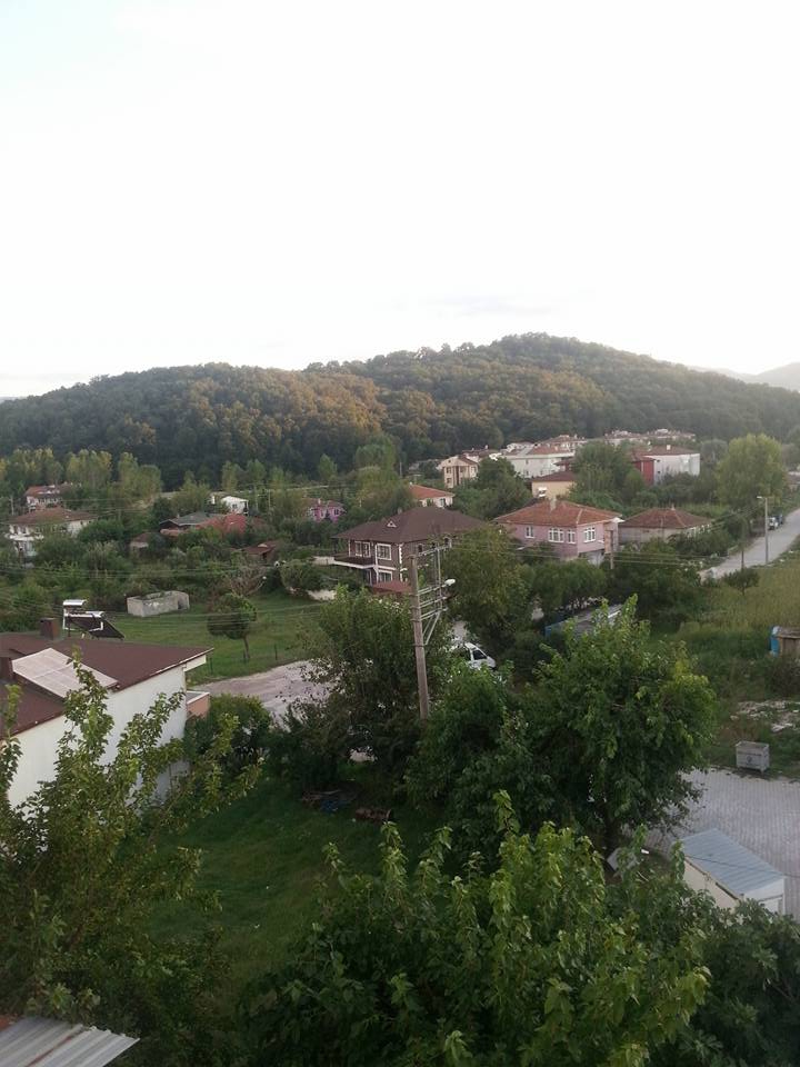 Yalova Samanlı Köyü Resimleri 13