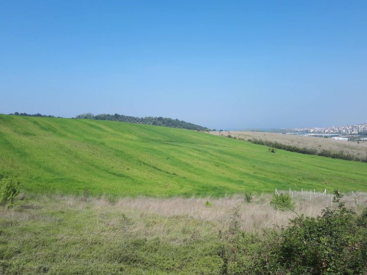 Yalova Samanlı Köyü Resimleri 5