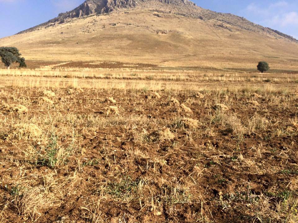 Adana Tufanbeyli Pınarlar Köyü Resimleri 20