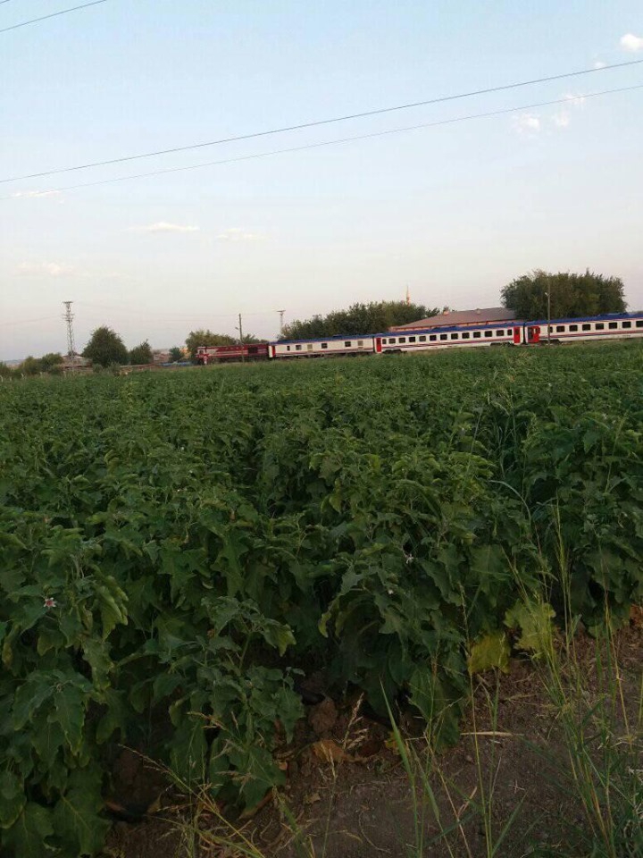 Sur Kervanpınar Köyü Resimleri 4