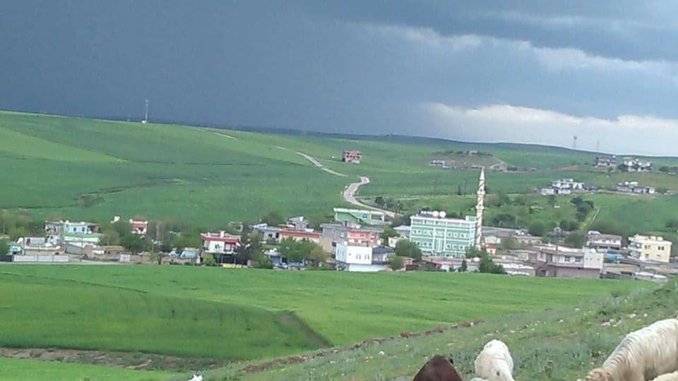 Sur Yenievler Köyü Resimleri 2