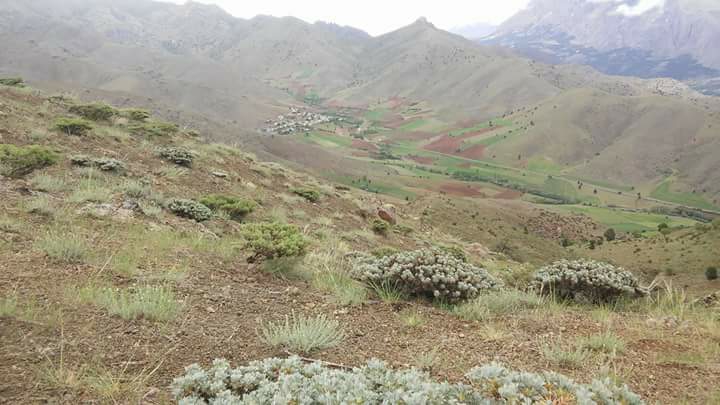 Çamardı Büyükkışlakçı Köyü Resimleri 1