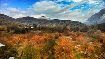 Çamardı Büyükkışlakçı Köyü Resimleri 2
