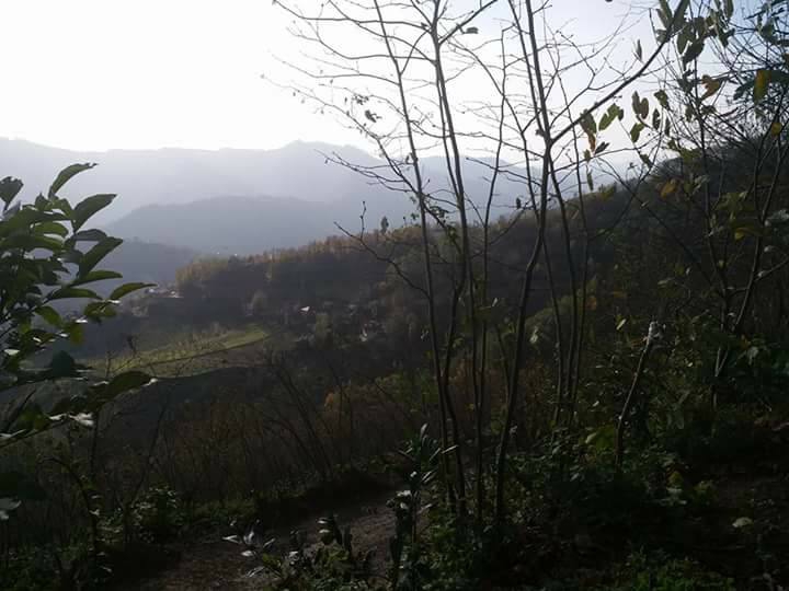 Alaçam Sancar Köyü Resimleri 13