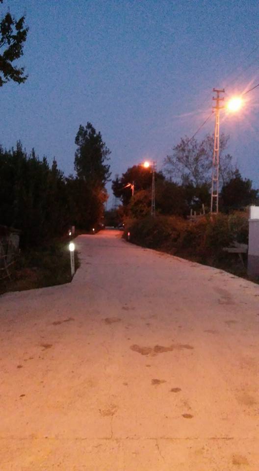 Alaçam Sancar Köyü Resimleri 18