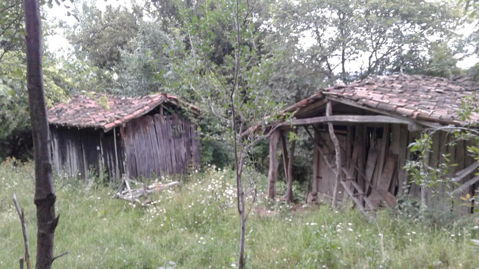 Alaçam Sancar Köyü Resimleri 24