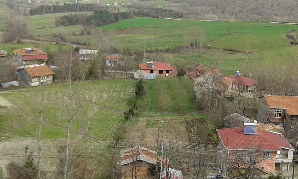 Alaçam Sancar Köyü Resimleri 25