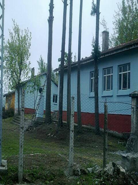 Alaçam Sancar Köyü Resimleri 9