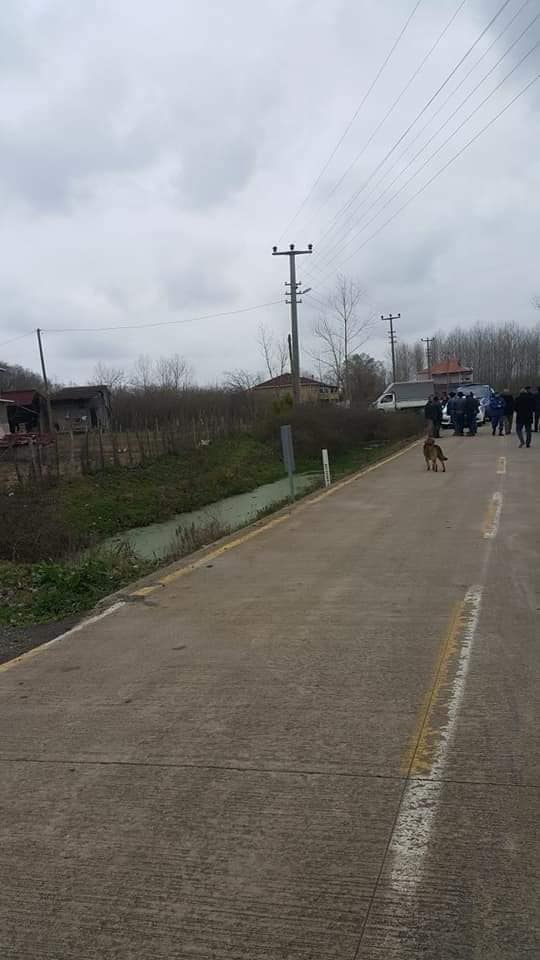 Çarşamba Karamustafalı Köyü Resimleri 10