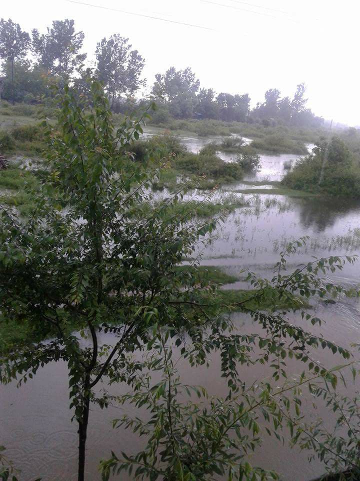 Çarşamba Karamustafalı Köyü Resimleri 11