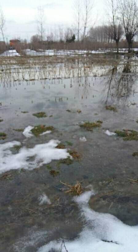 Çarşamba Karamustafalı Köyü Resimleri 2