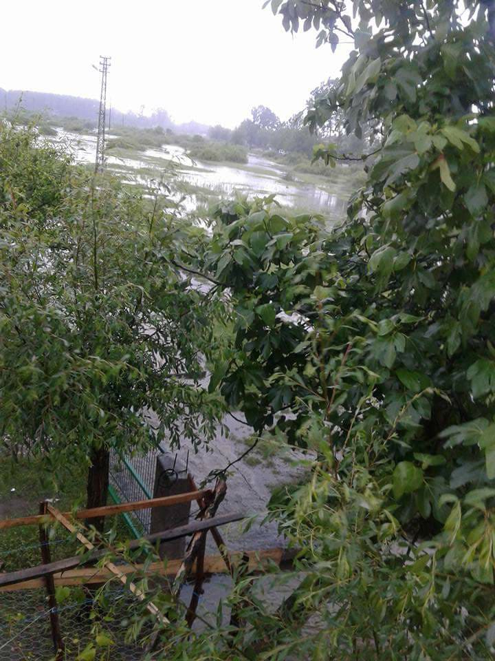 Çarşamba Karamustafalı Köyü Resimleri 4