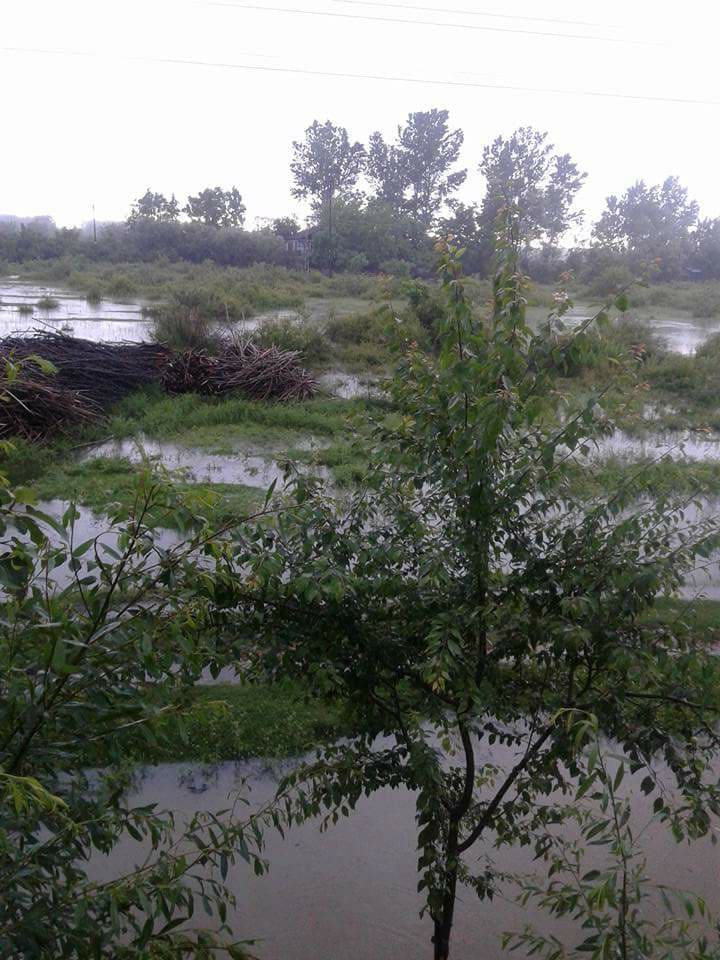 Çarşamba Karamustafalı Köyü Resimleri 5