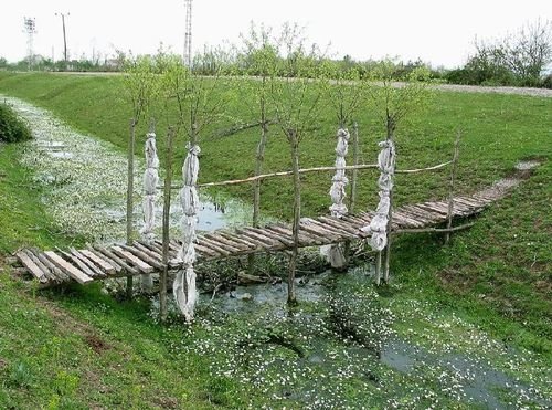Çarşamba Karamustafalı Köyü Resimleri 6