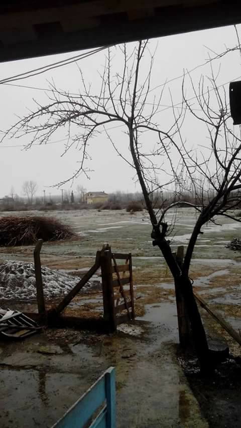 Çarşamba Karamustafalı Köyü Resimleri 9