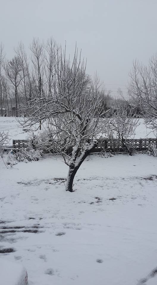 Çarşamba Kaydan Köyü Resimleri 1
