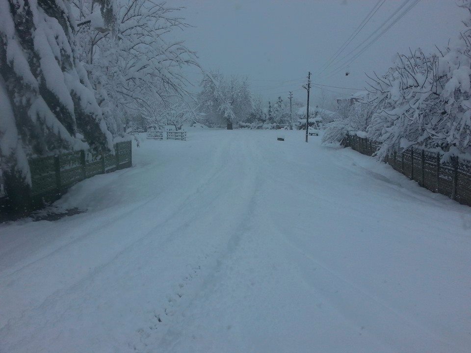 Çarşamba Kaydan Köyü Resimleri 6