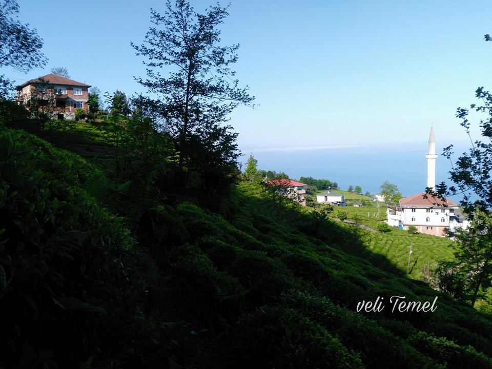 Çarşamba Kemer Köyü Resimleri 10