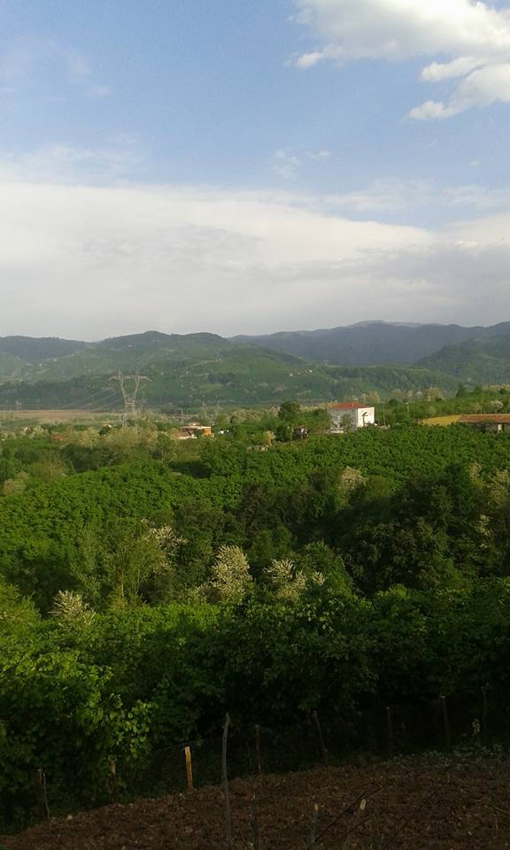 Çarşamba Kemer Köyü Resimleri 3