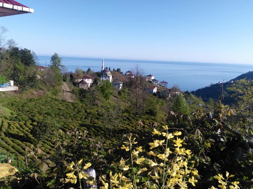 Çarşamba Kemer Köyü Resimleri 6