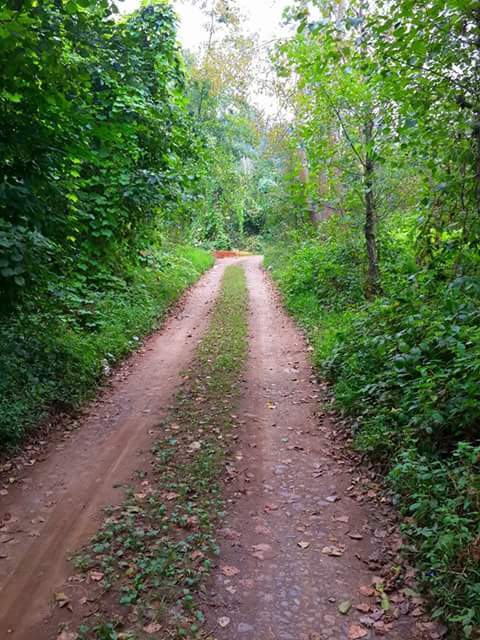 Çarşamba Kestanepınar Köyü Resimleri 10