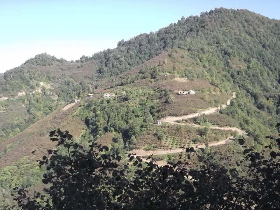 Çarşamba Kestanepınar Köyü Resimleri 12