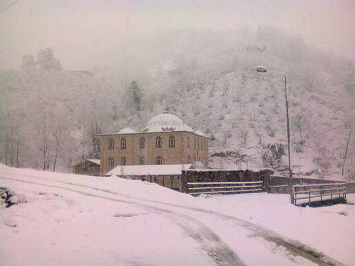 Çarşamba Kestanepınar Köyü Resimleri 4