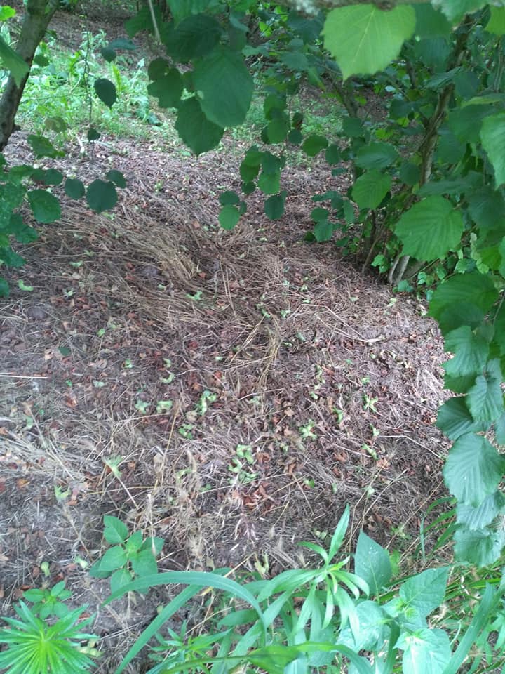 Çarşamba Kızılot Köyü Resimleri 13