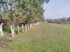 Çarşamba Kızılot Köyü Resimleri 5