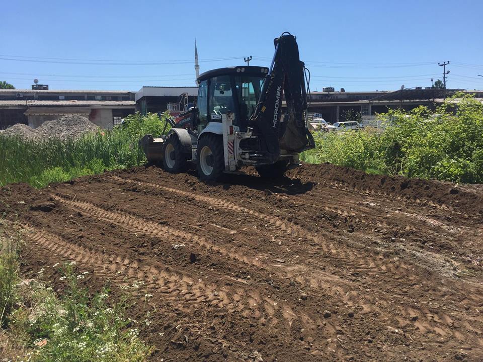 Çarşamba Kirazbucağı Köyü Resimleri 2