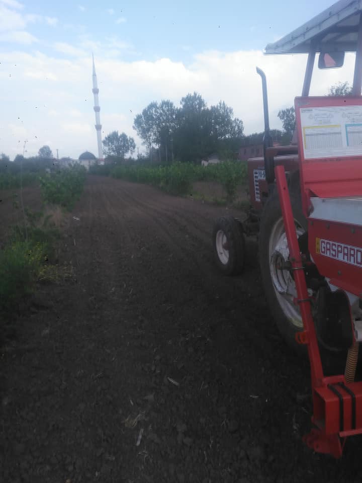 Çarşamba Kirazbucağı Köyü Resimleri 4