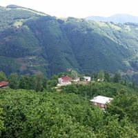 Akkuş Gürgenliyatak Köyü Resimleri 2