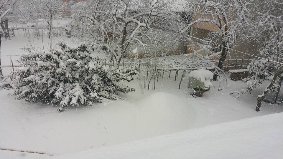 Çarşamba Kocakavak Köyü Resimleri 2