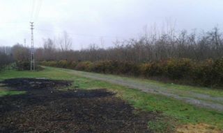 Çarşamba Kocakavak Köyü Resimleri 7