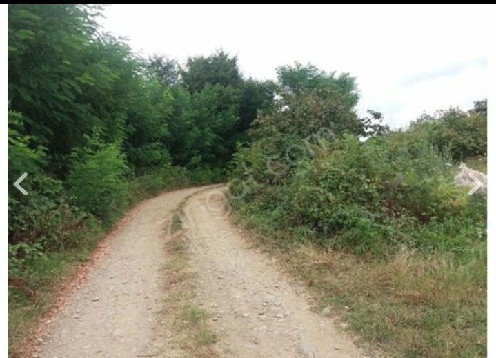 Çarşamba Koldere Köyü Resimleri 1