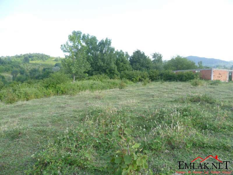 Çarşamba Koldere Köyü Resimleri 2