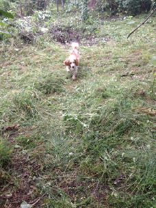 Çarşamba Koldere Köyü Resimleri 3