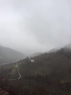 Çarşamba Koldere Köyü Resimleri 6