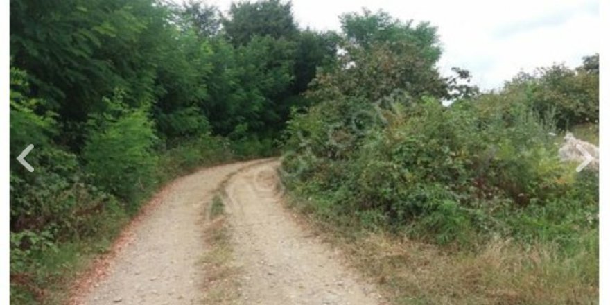 Çarşamba Koldere Köyü Resimleri