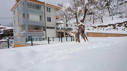 Çarşamba Konukluk Köyü Resimleri 2