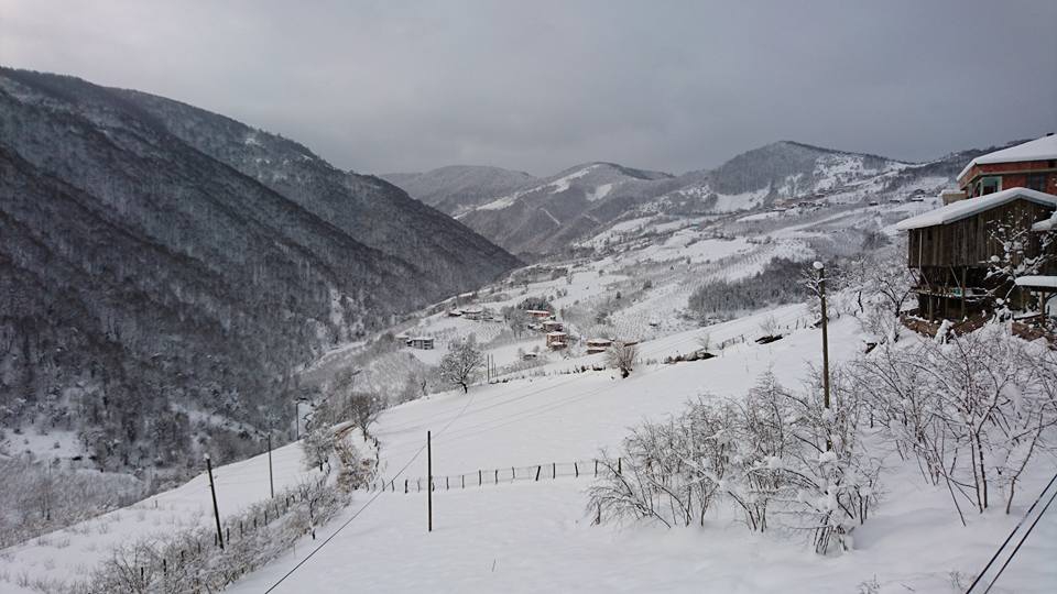 Çarşamba Konukluk Köyü Resimleri 3