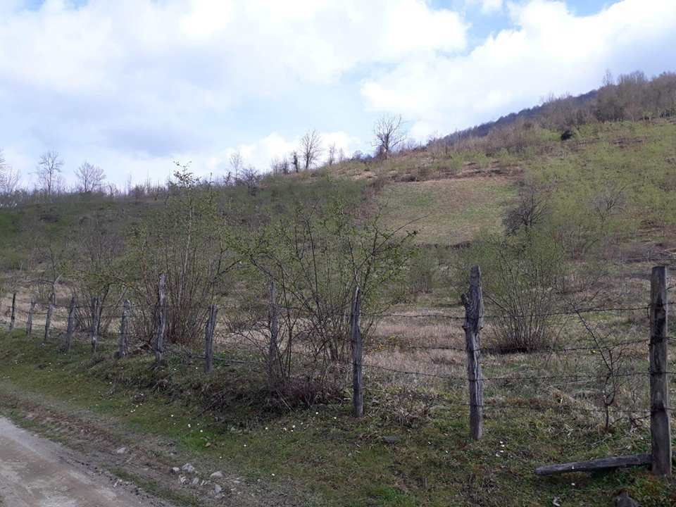 Çarşamba Konukluk Köyü Resimleri 7