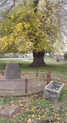 Çarşamba Köklük Köyü Resimleri 3